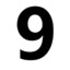 iis1009