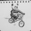 Panda na bmx^