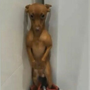 Pro Player Kubuss😈💥