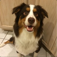 callmealex