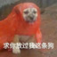 乡下种田人