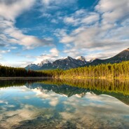 苏格拉底的奶妈