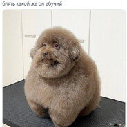 ДядR Б0РЯ MC E8Y4iЙ