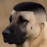 krax么 - steam id 76561198413346070