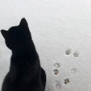 超级无敌巨无霸第一董