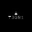 T3GR1