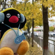 Pingu