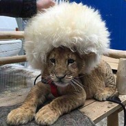 legend с пюрешкой