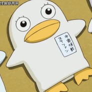 如何科学饲养肥猫