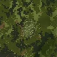 FrostWhite - steam id 76561197971069424