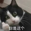 阿毛