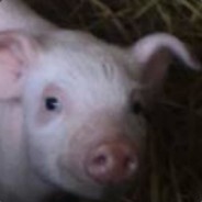 ☆⌒( ﹥ω・フ)～ollɐ!ɔ