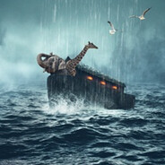 I carried more animals than Noah