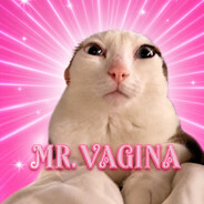 𝕄ℝ. 𝕍𝔸𝔾𝕀ℕ𝔸 Steam avatar