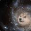 Space Doge