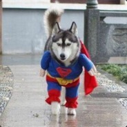 土豆土豆土豆`1