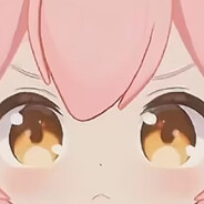 MSQ