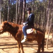 在下蒙牛，有何贵干？