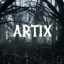 Artix1221