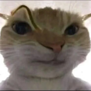 我将以棘背龙形态出击