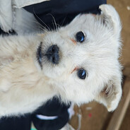 她说是为了中非友谊