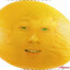 Дыня