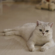 满大街的爱不如 mom's love