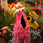 Yip Yip