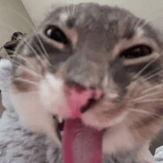 Micu