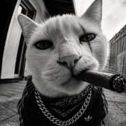 hudsoN
