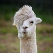 ༒DonAlpacoElegante Steam avatar