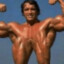 Arnold Schwarzenegger ( ͡° ͜ʖ ͡°