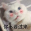 带刀好人