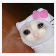 avatar meow