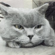 猫头猫多的姐姐