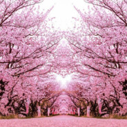 可惜，那是曾经