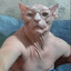 оперуполномоченн's avatar