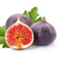 Fig