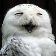 Im Owlsey