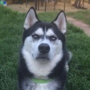 香港亞運打野陳智勇