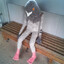 PigeonFugger12