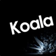 KoalaBaer