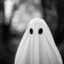 GHOST™