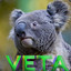 BOT Koala