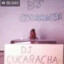 NT. dj cucaracha