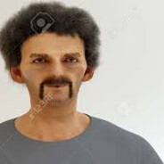 rosinante