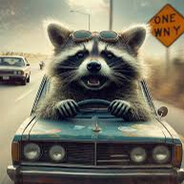 Waschbär im Gegenverkehr