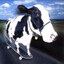 Vaca (Cachonda)
