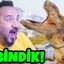 come baack jorge rex rey do bala