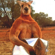 八百逗逼奔北坡